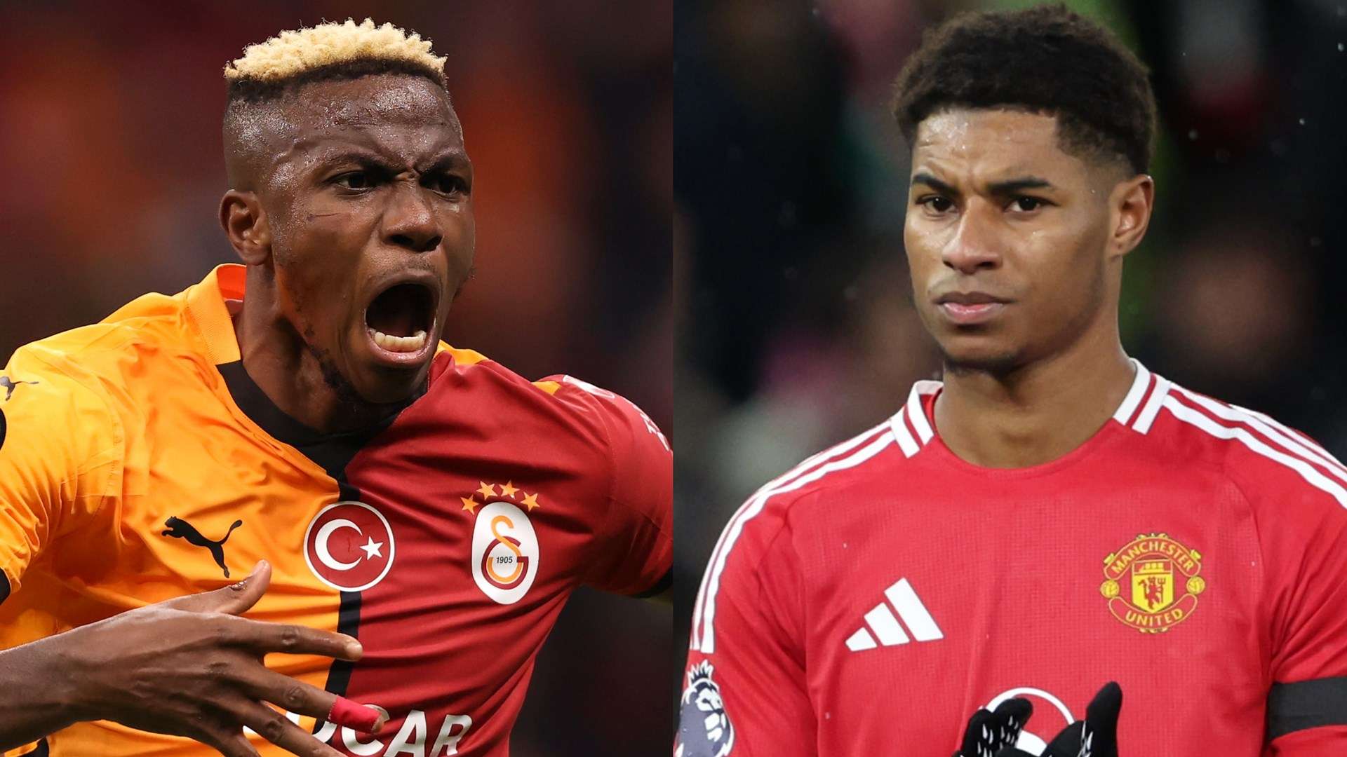 也导致了整 也导致了整