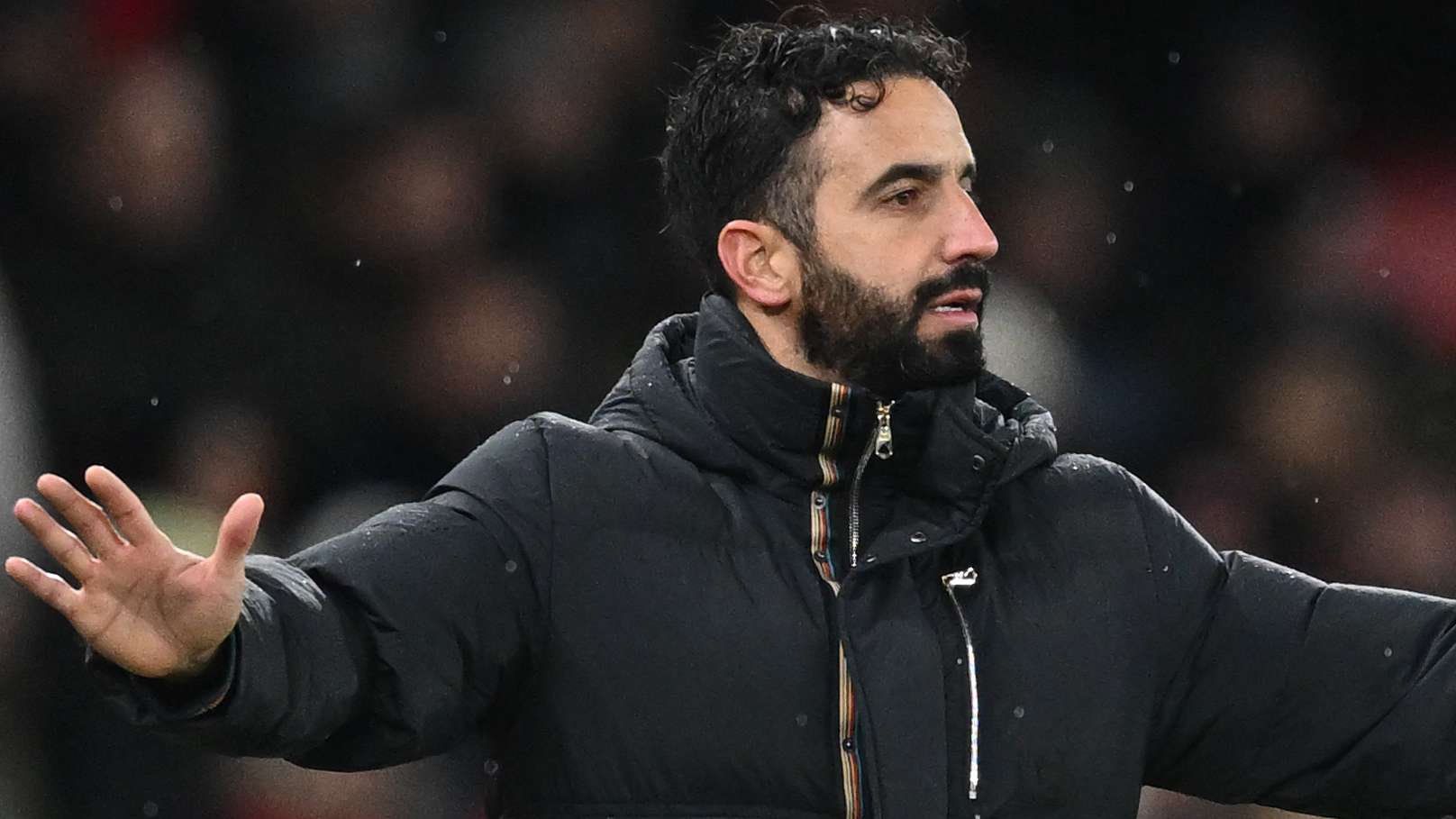 这也是球迷 这也是球迷